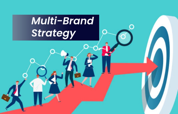 Multi-Brand Strategy