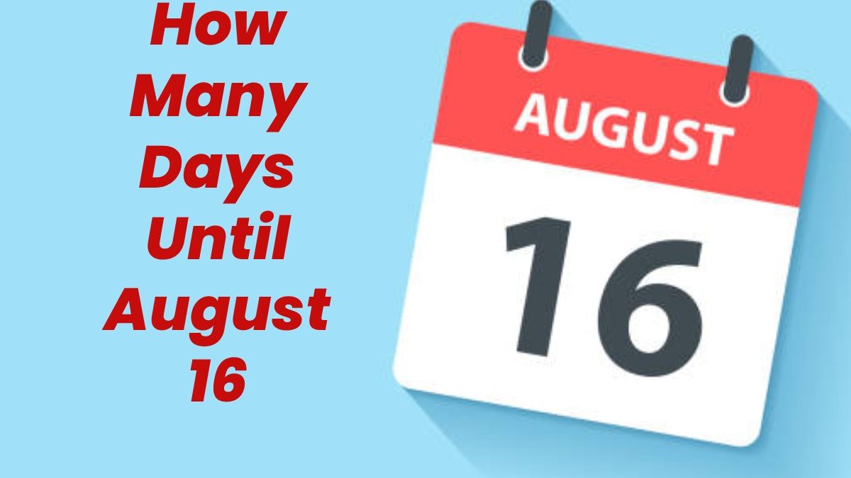 How Many Days Until August 16 About, and More Biz Tips Web