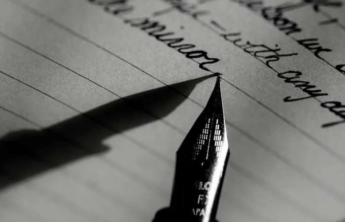Business Portfolio Write For Us